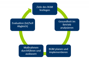 Ablauf BGM EO Institut 300x203 - Betriebliches Gesundheitsmanagement